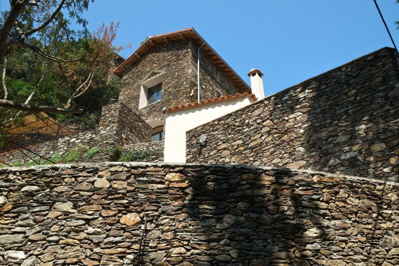 Le Clarou Bed & Breakfast Valleraugue Exterior photo